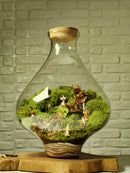 Terrário Santuário | Santa Arte