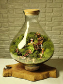 Terrário Santuário | Santa Arte